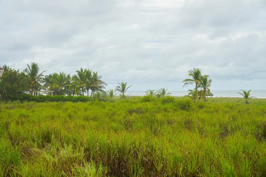 Alanje Chiriqui Panama - Photo 48