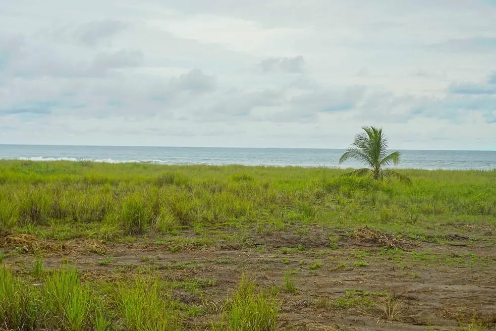 Alanje Chiriqui Panama - Photo 4