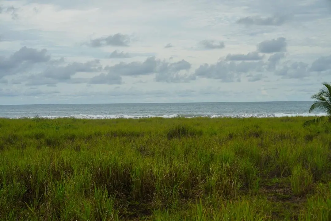 Alanje Chiriqui Panama - Photo 80