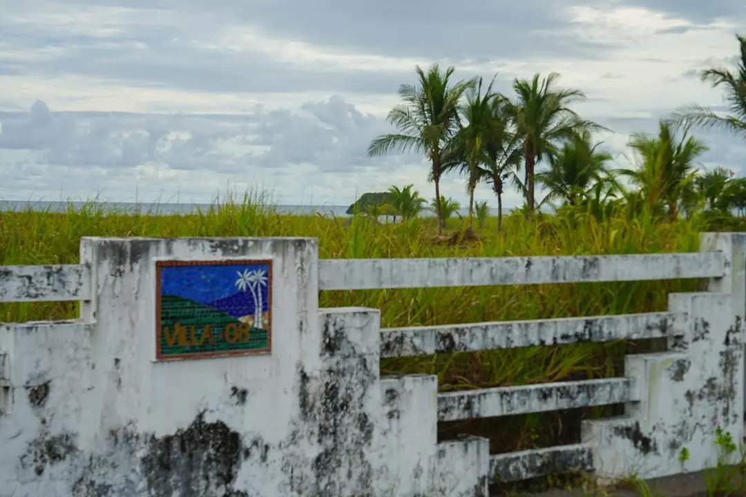 Alanje Chiriqui Panama - Photo 25