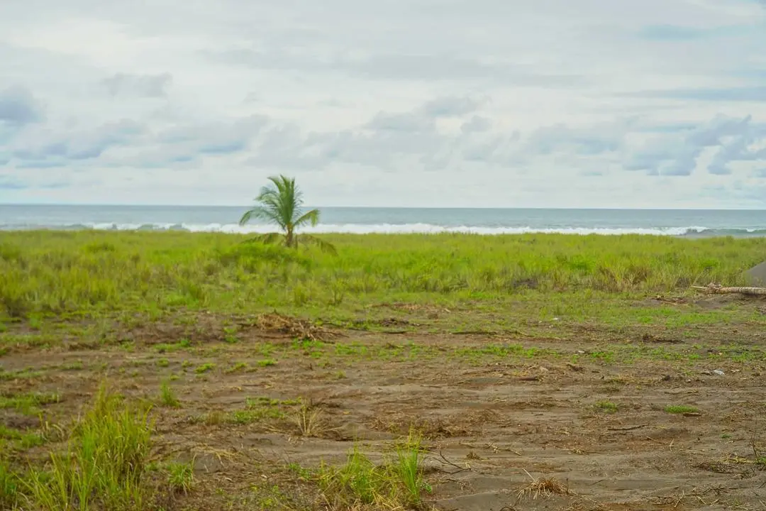 Alanje Chiriqui Panama - Photo 58