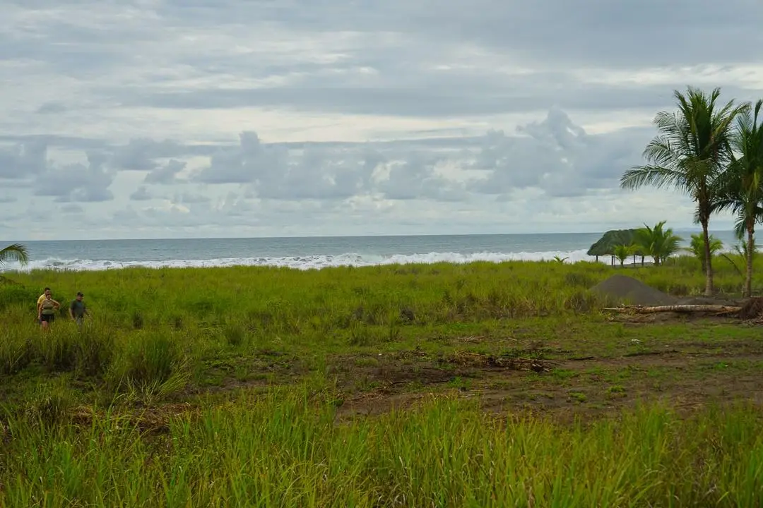 alanje chiriqui panama