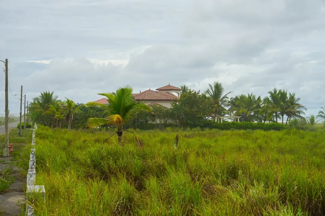 Alanje Chiriqui Panama - Photo 45