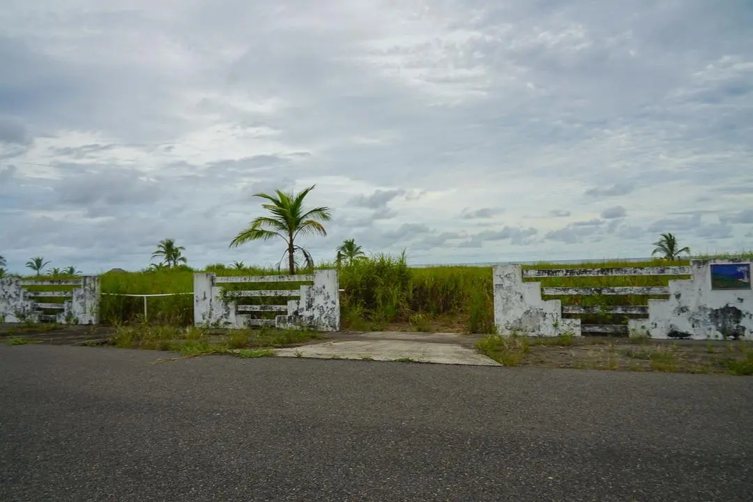 Alanje Chiriqui Panama - Photo 33