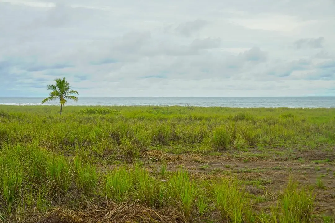 Alanje Chiriqui Panama - Photo 10