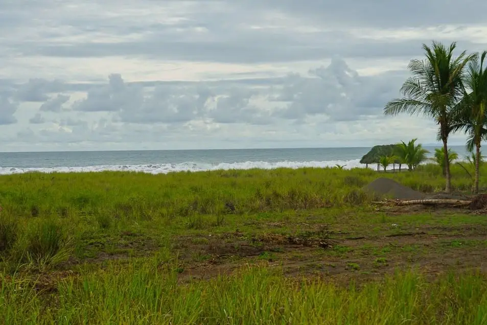 Alanje Chiriqui Panama - Photo 20