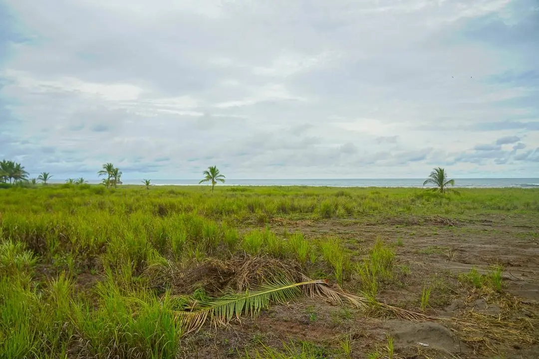 Alanje Chiriqui Panama - Photo 56