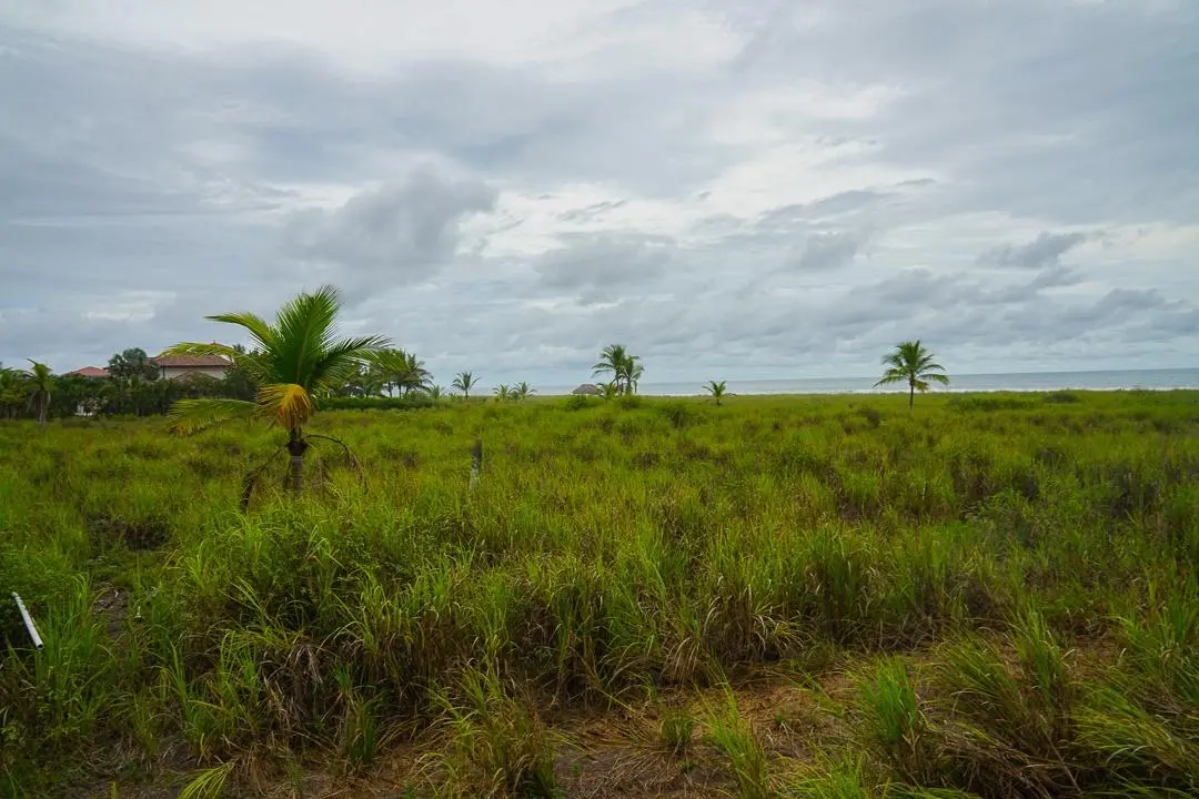 Alanje Chiriqui Panama - Photo 70