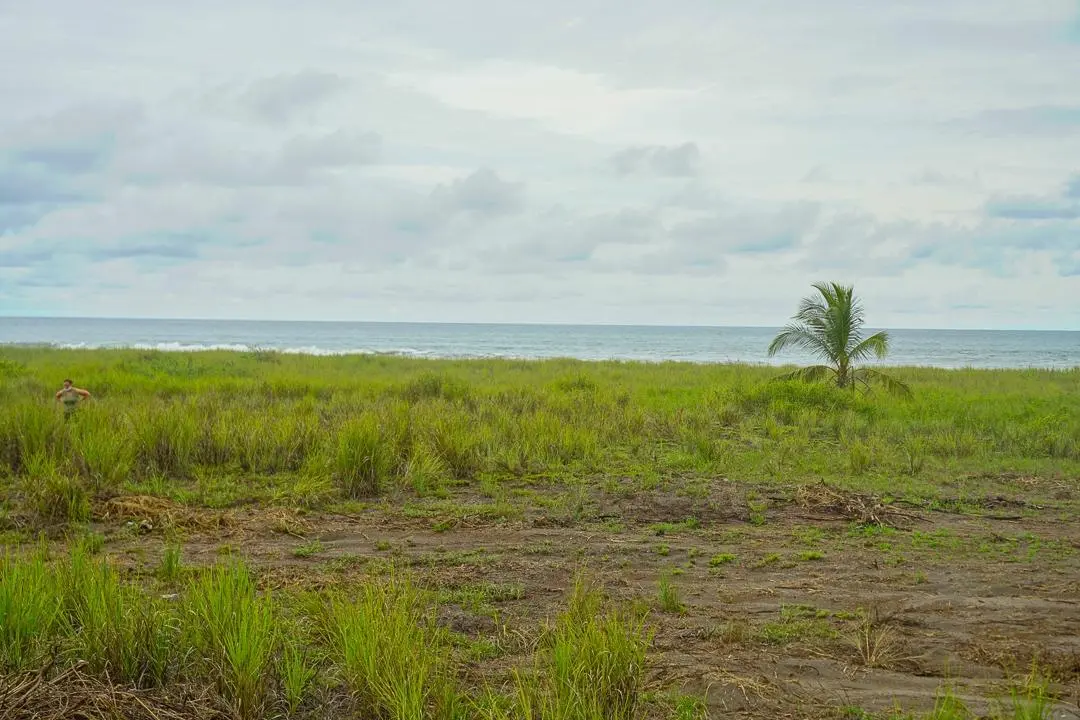Alanje Chiriqui Panama - Photo 9