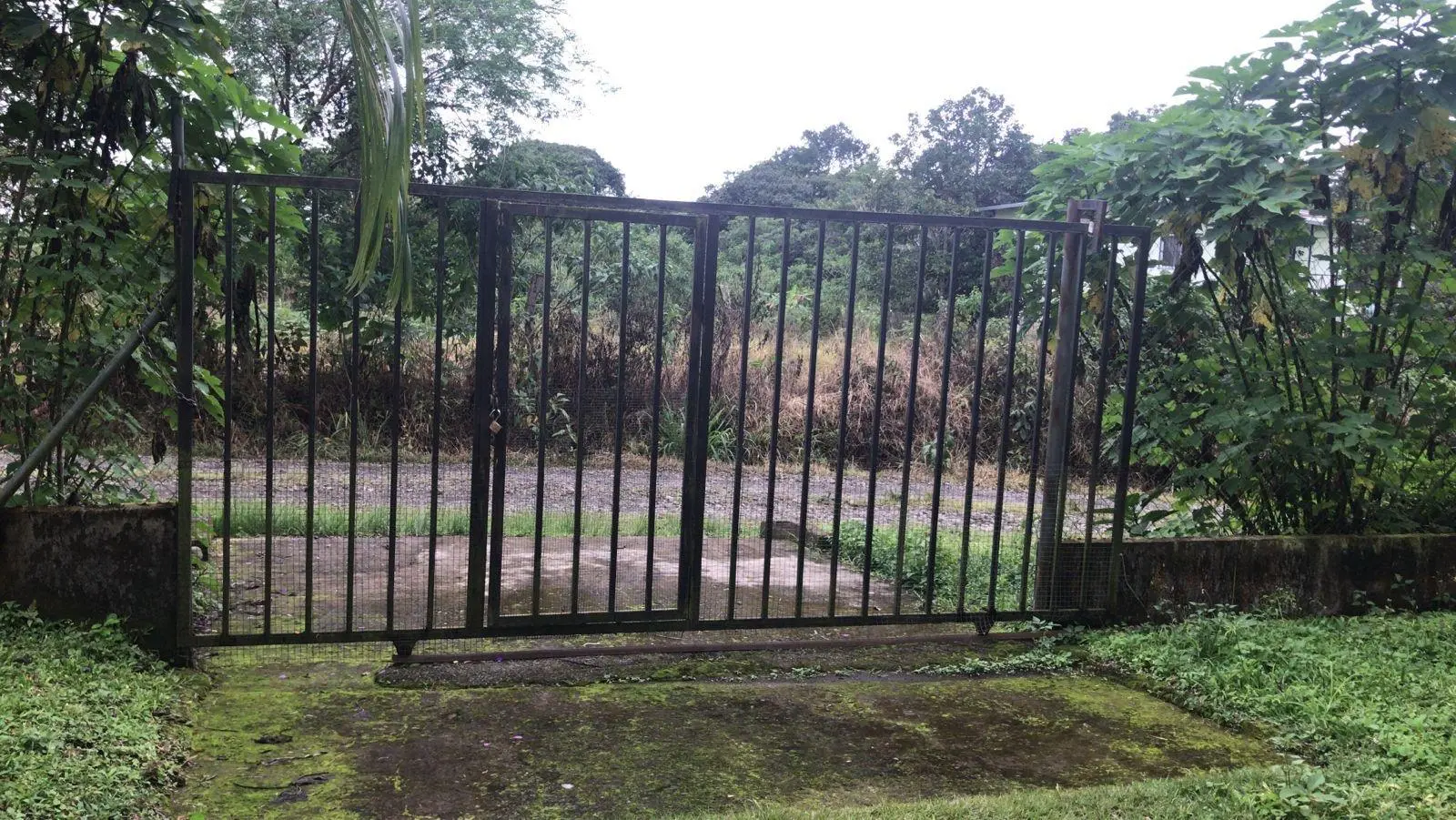 Palma Real, Rovira - Photo 31