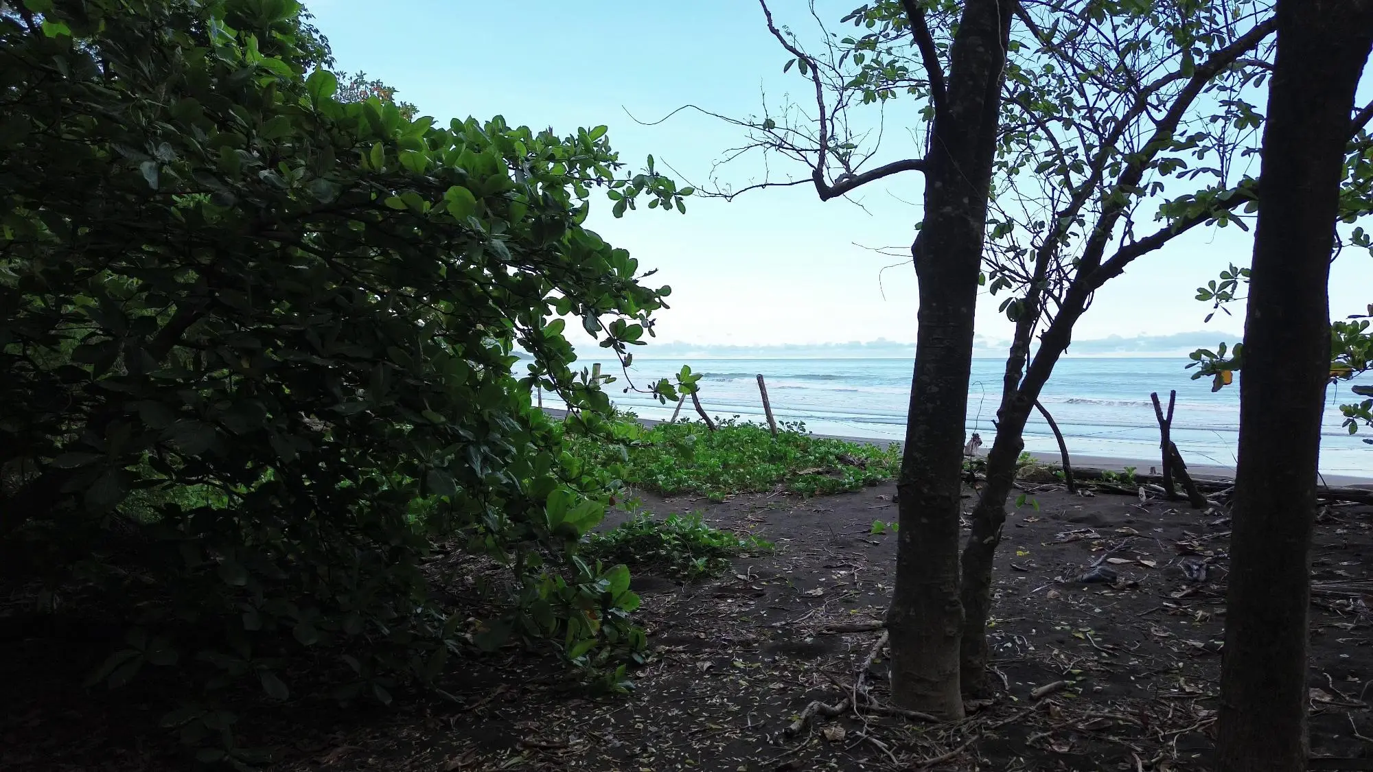 Cambutal, Tonosi, Cerca A Playa Cortocircuito - Photo 39