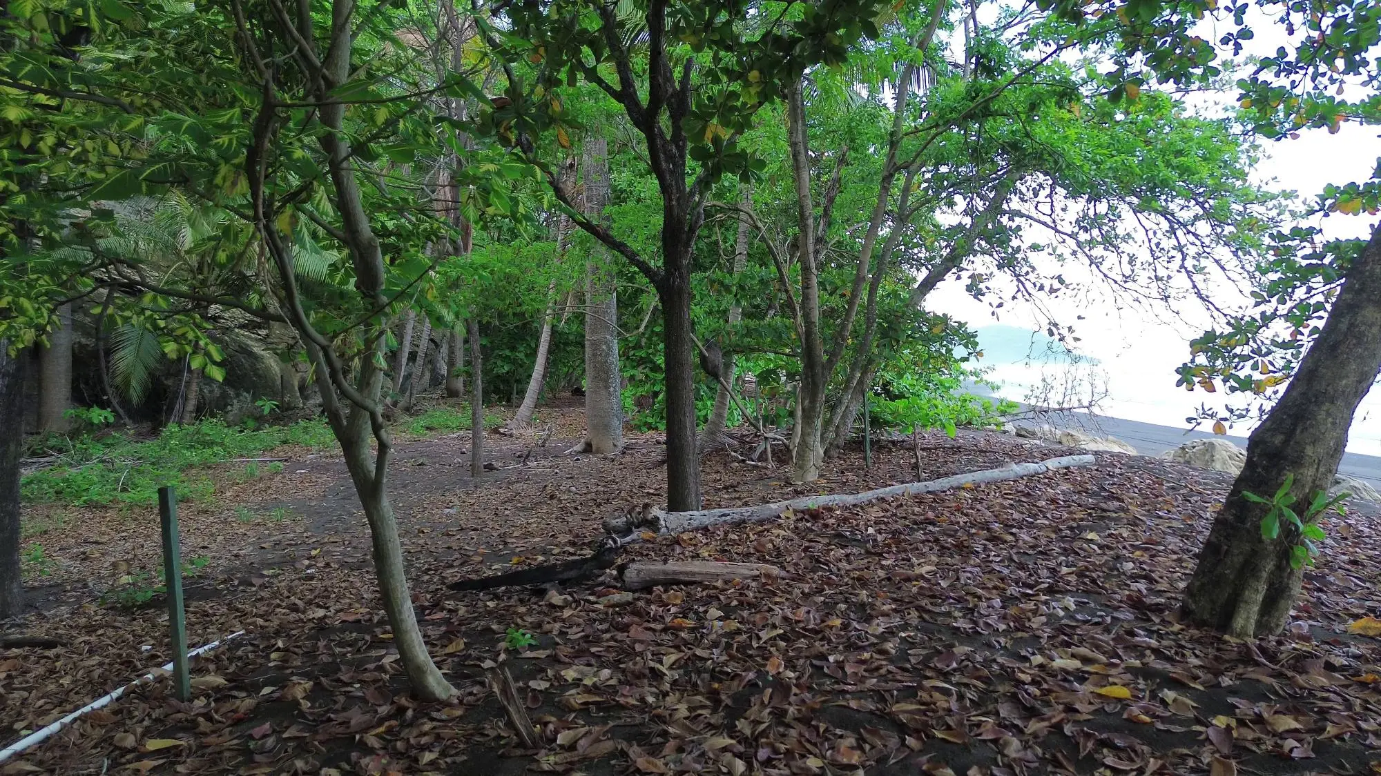 Cambutal, Tonosi, Cerca A Playa Cortocircuito - Photo 23