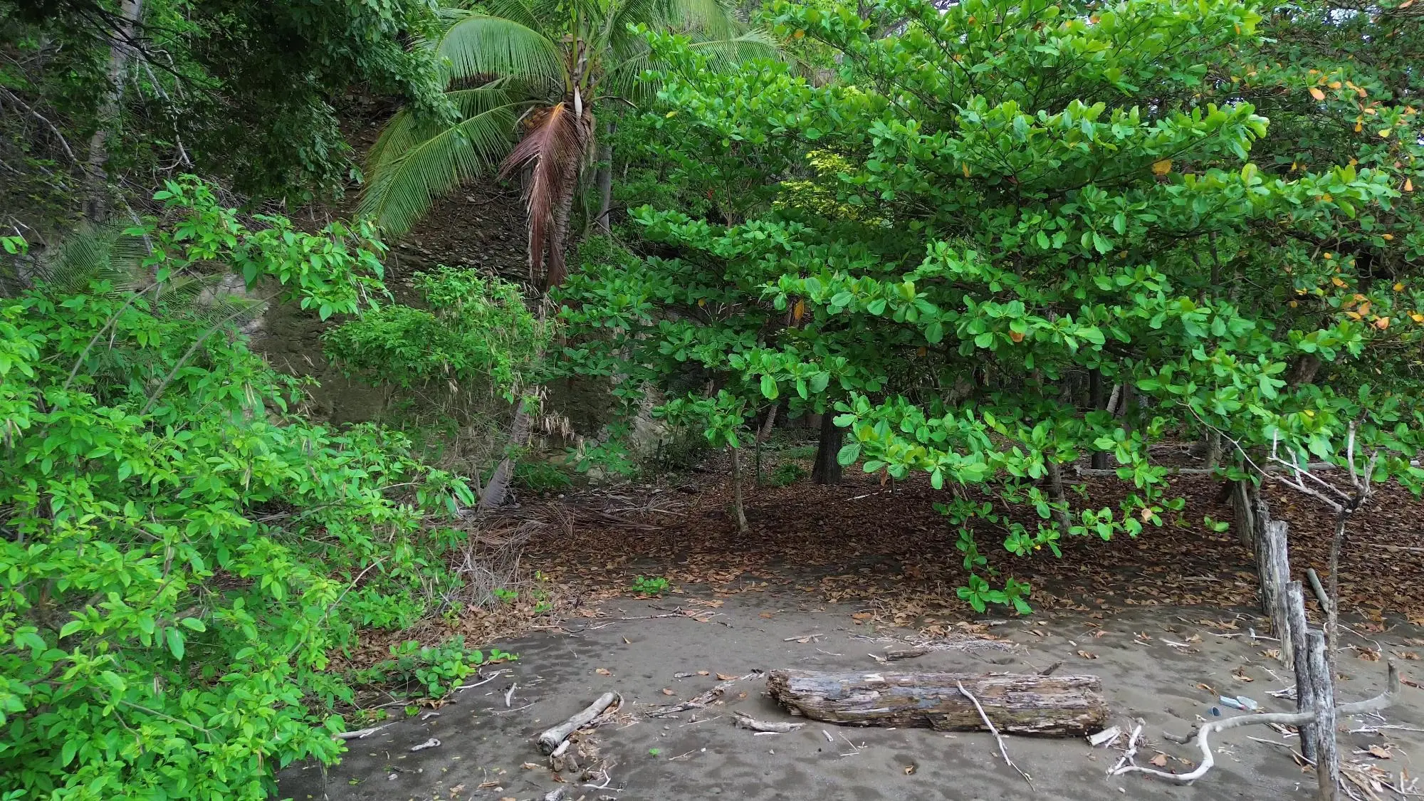 Cambutal, Tonosi, Cerca A Playa Cortocircuito - Photo 32