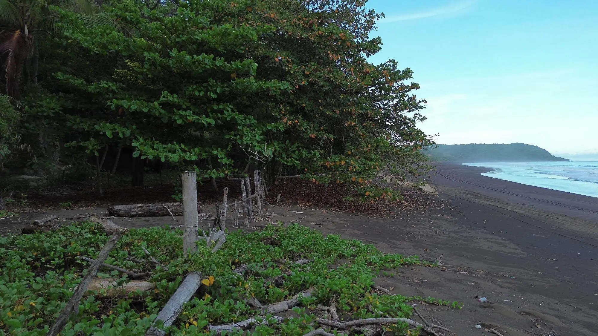 Cambutal, Tonosi, Cerca A Playa Cortocircuito - Photo 30