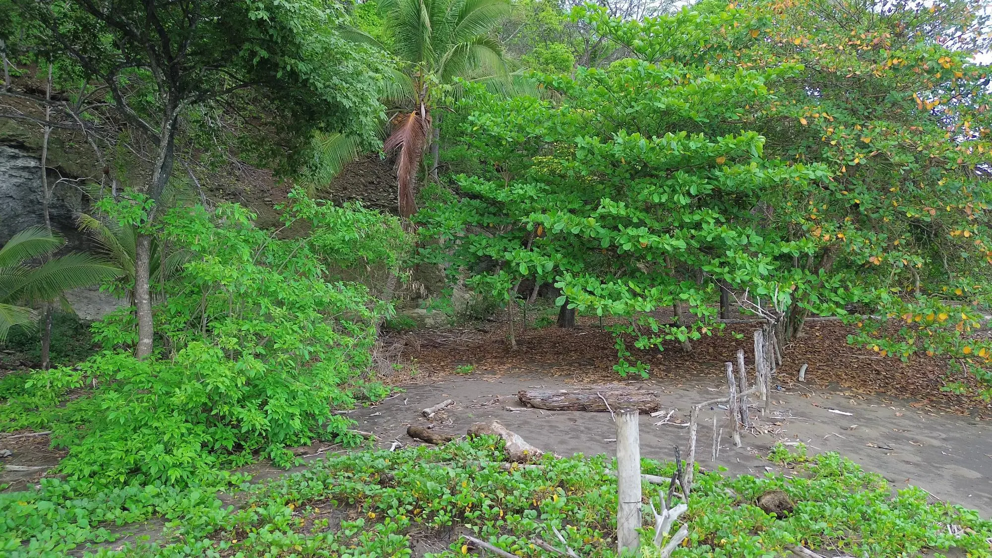 Cambutal, Tonosi, Cerca A Playa Cortocircuito - Photo 25