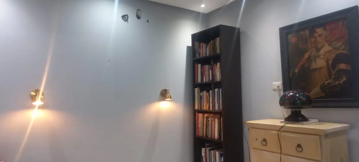 Ave. Balboa #ph Rivage - Photo 31