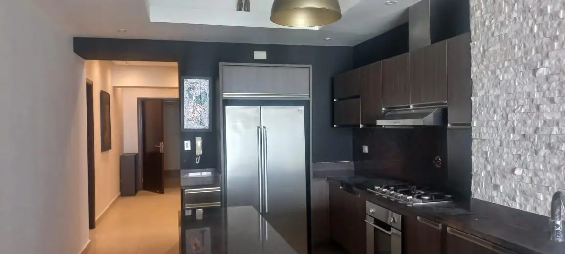 Ave. Balboa #ph Rivage - Photo 10