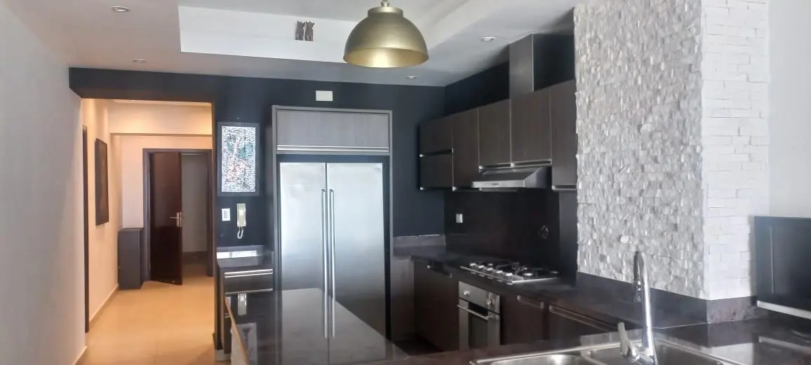 Ave. Balboa #ph Rivage - Photo 5