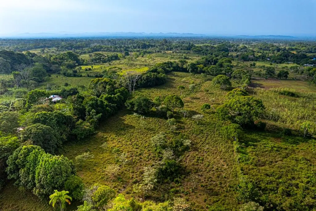0 Chiriquí, Bboquerón, Guayabal, Aguacate - Photo 26