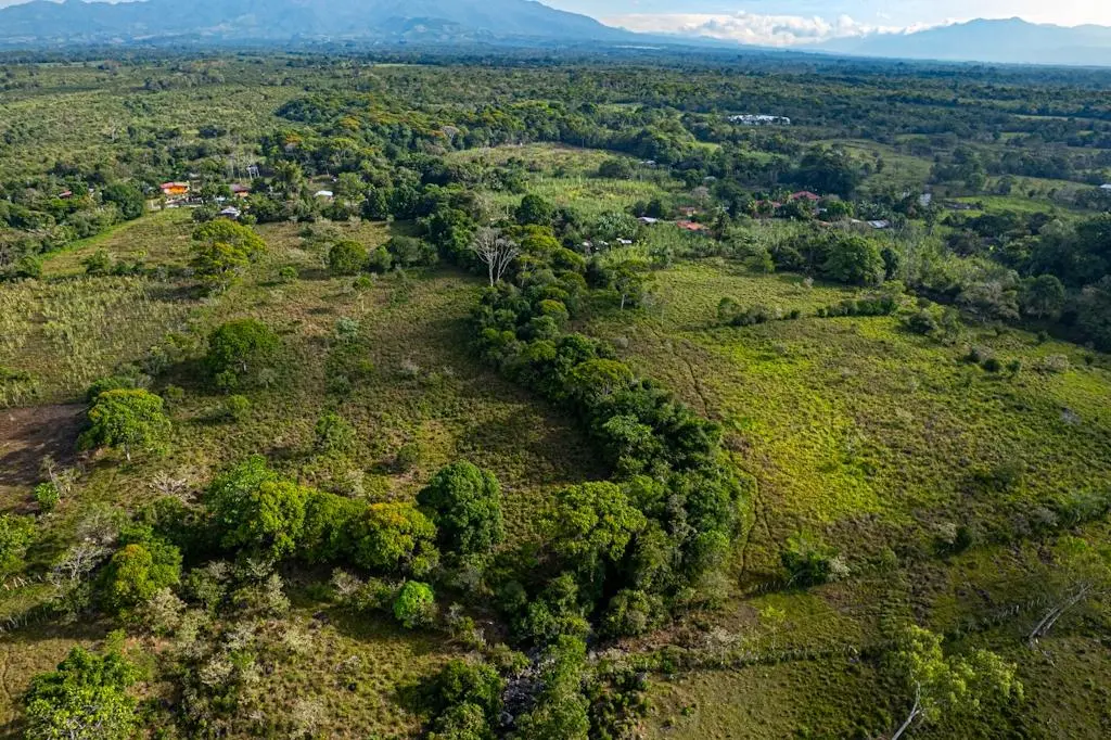 0 Chiriquí, Bboquerón, Guayabal, Aguacate - Photo 23