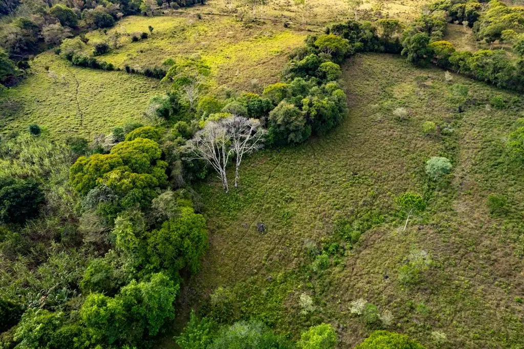 0 Chiriquí, Bboquerón, Guayabal, Aguacate - Photo 30