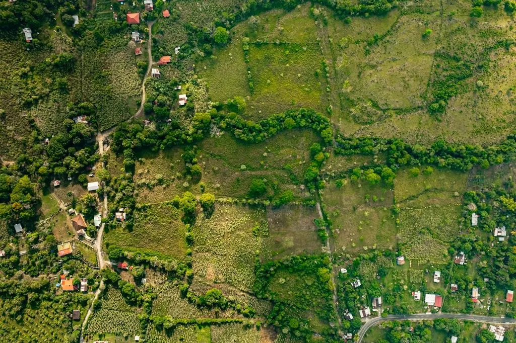 0 Chiriquí, Bboquerón, Guayabal, Aguacate - Photo 32