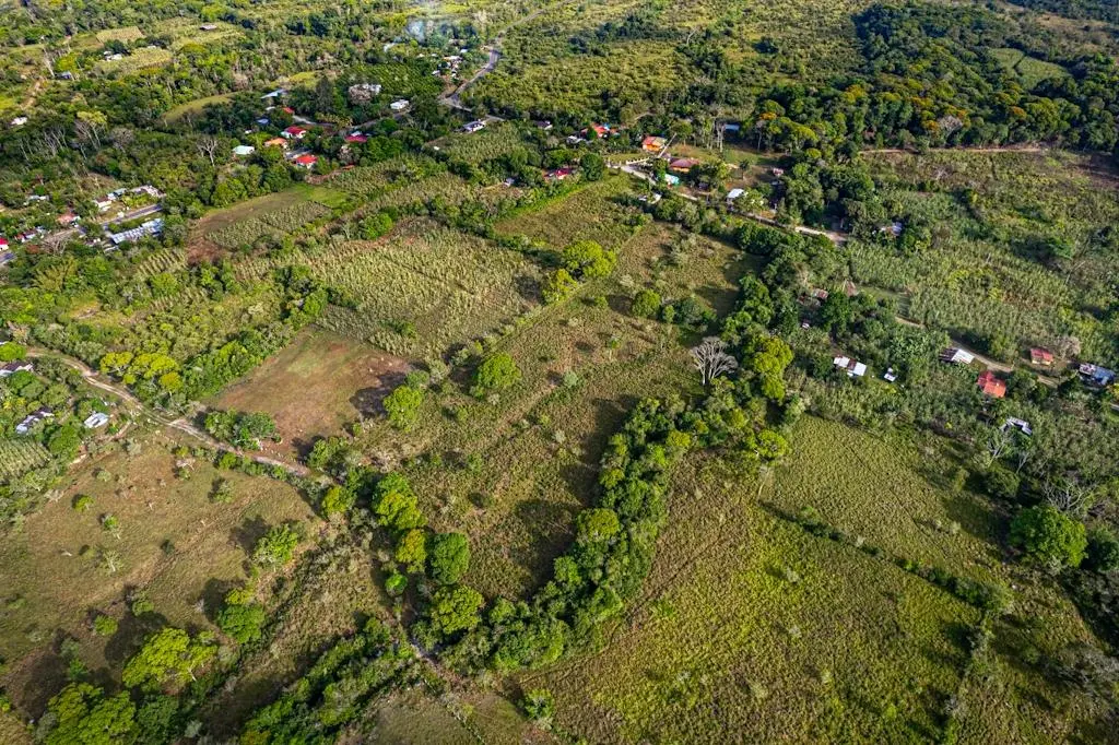 0 Chiriquí, Bboquerón, Guayabal, Aguacate - Photo 17