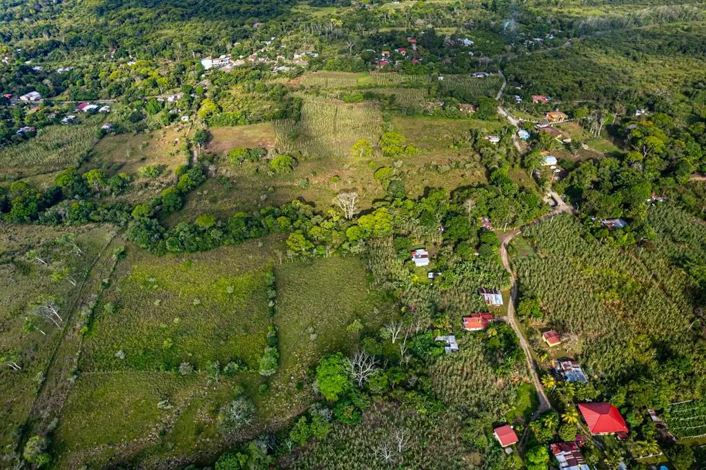 0 Chiriquí, Bboquerón, Guayabal, Aguacate - Photo 19