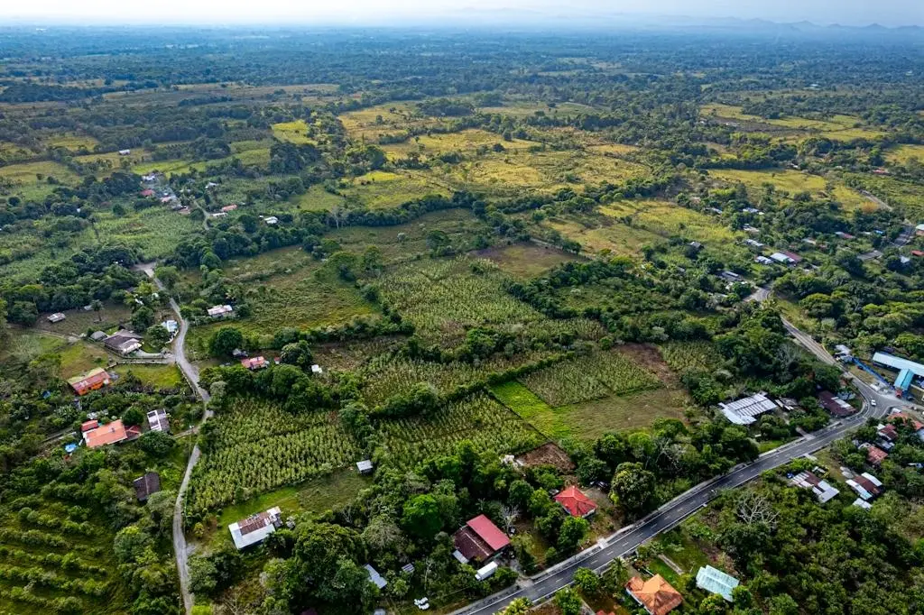 0 Chiriquí, Bboquerón, Guayabal, Aguacate - Photo 8