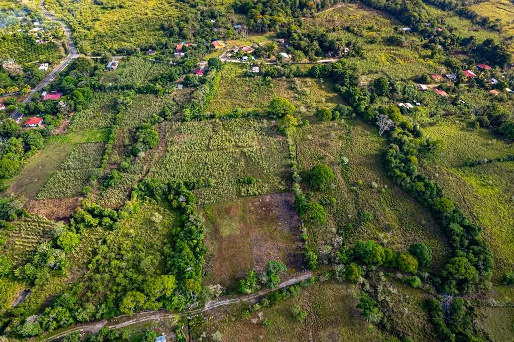 0 Chiriquí, Bboquerón, Guayabal, Aguacate - Photo 14