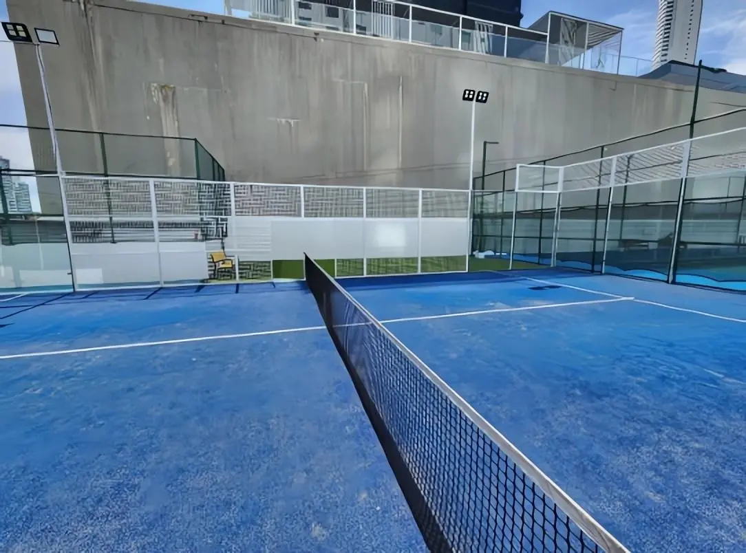 Costa Del Este #ph Aria - Photo 45