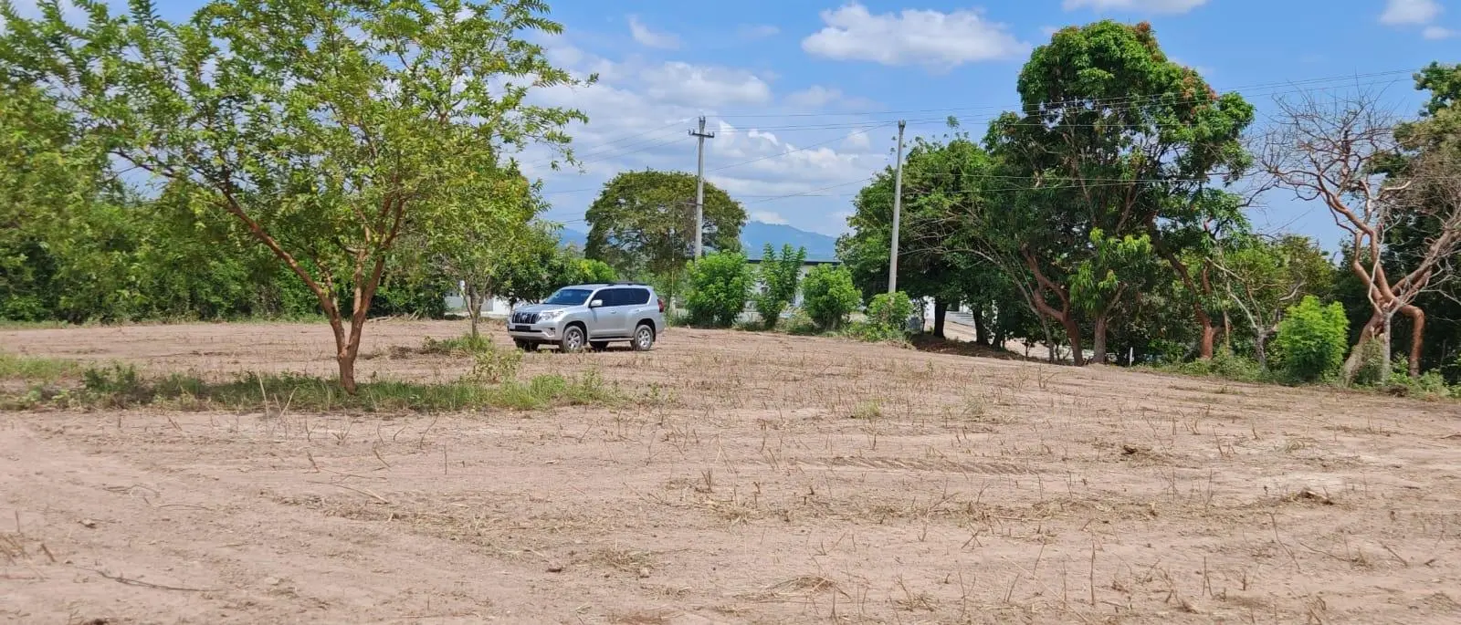 San Carlos Llano Redondo, El Higo De San Carlos #el Higo - Photo 6