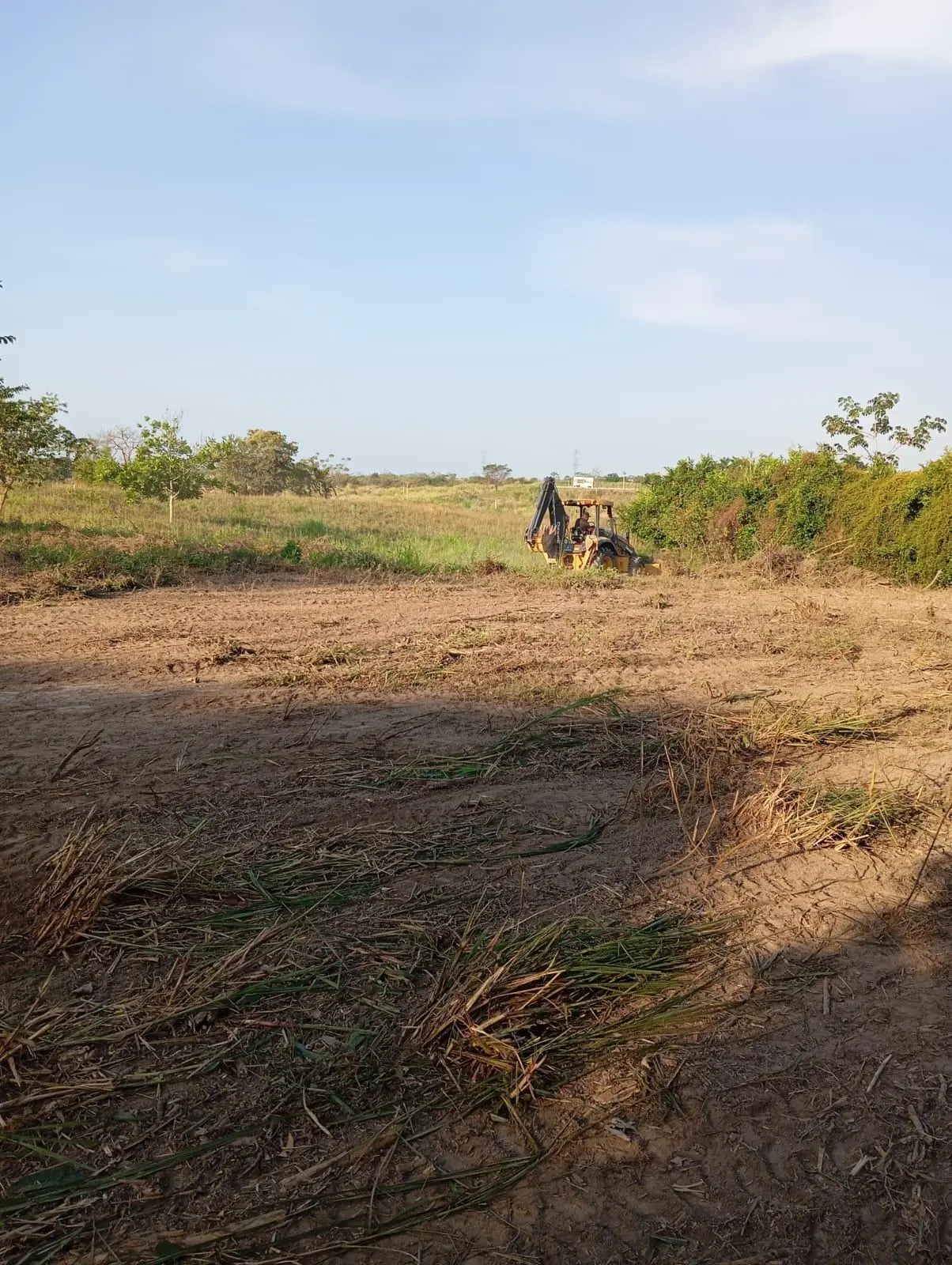 San Carlos Llano Redondo, El Higo De San Carlos #el Higo - Photo 10