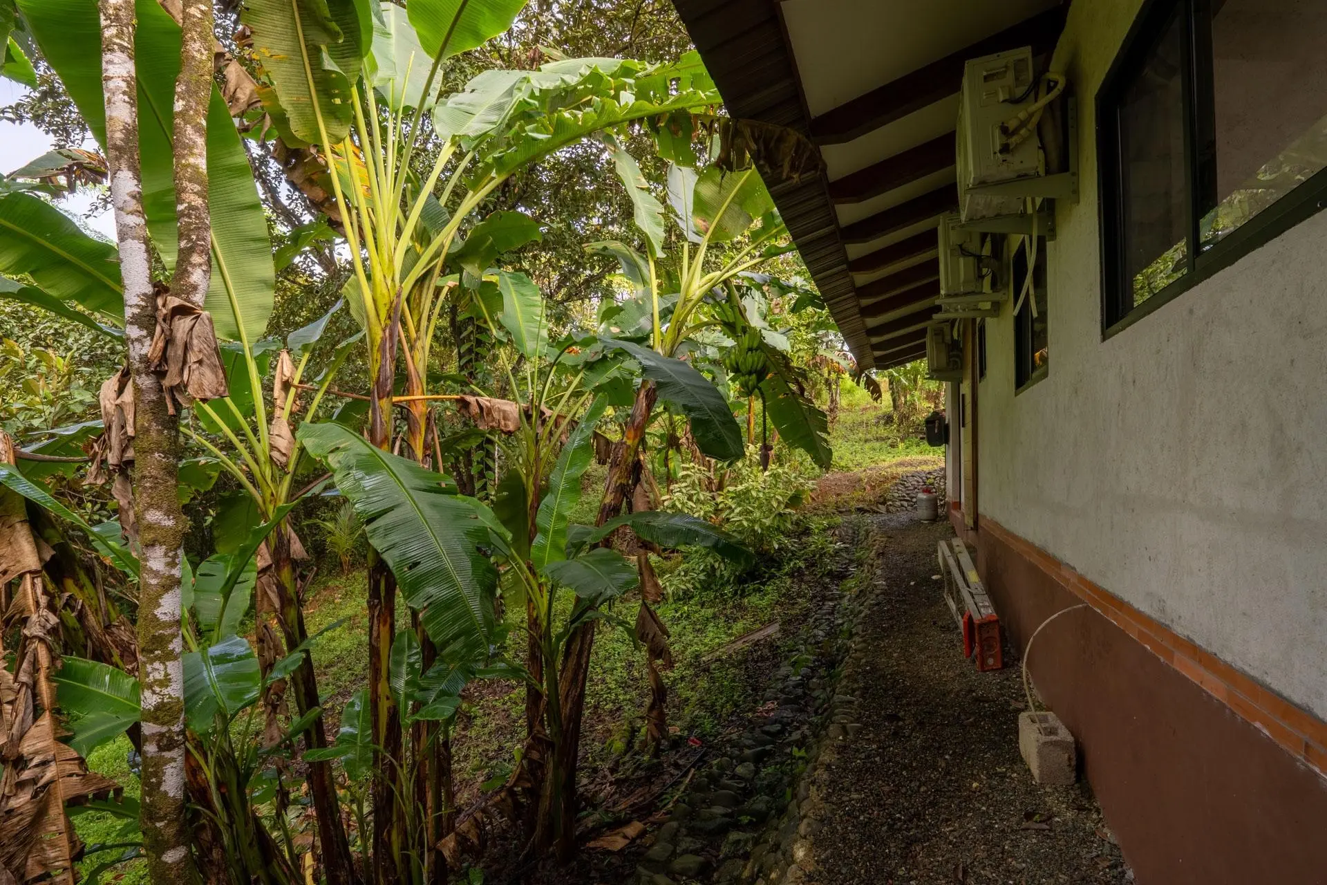 Torio Hill Mariato Veraguas Panama - Photo 137