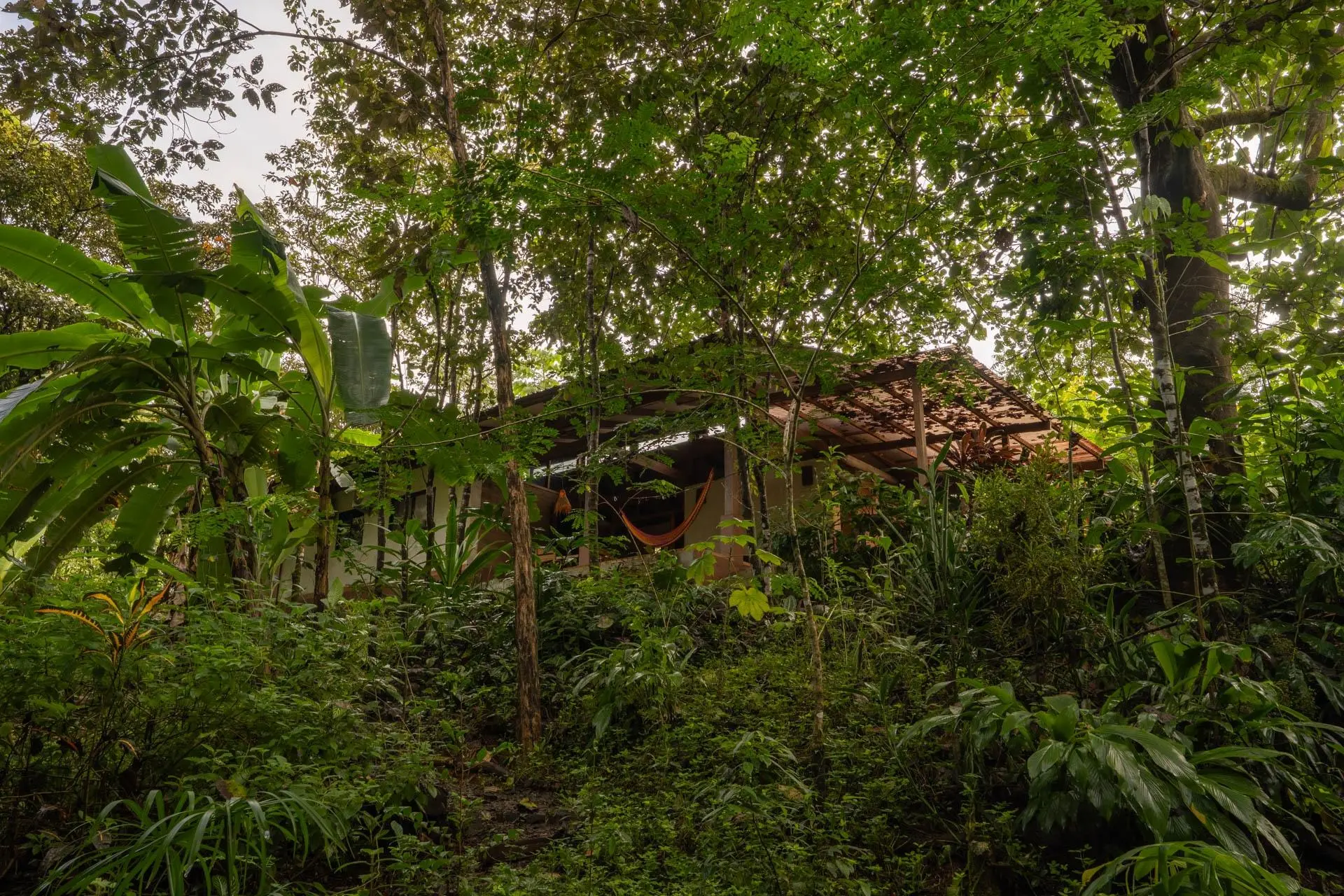 Torio Hill Mariato Veraguas Panama - Photo 139