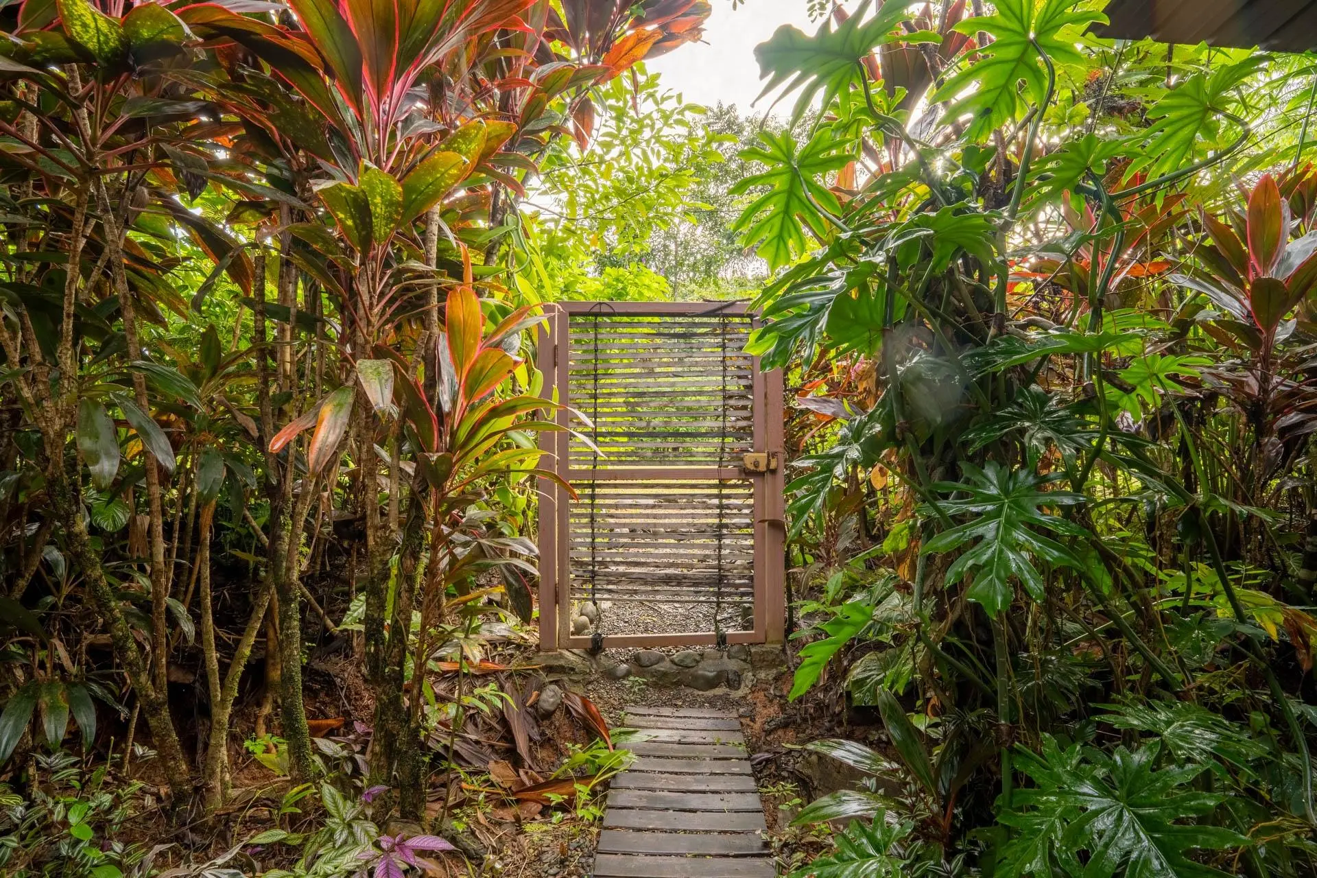 Torio Hill Mariato Veraguas Panama - Photo 6