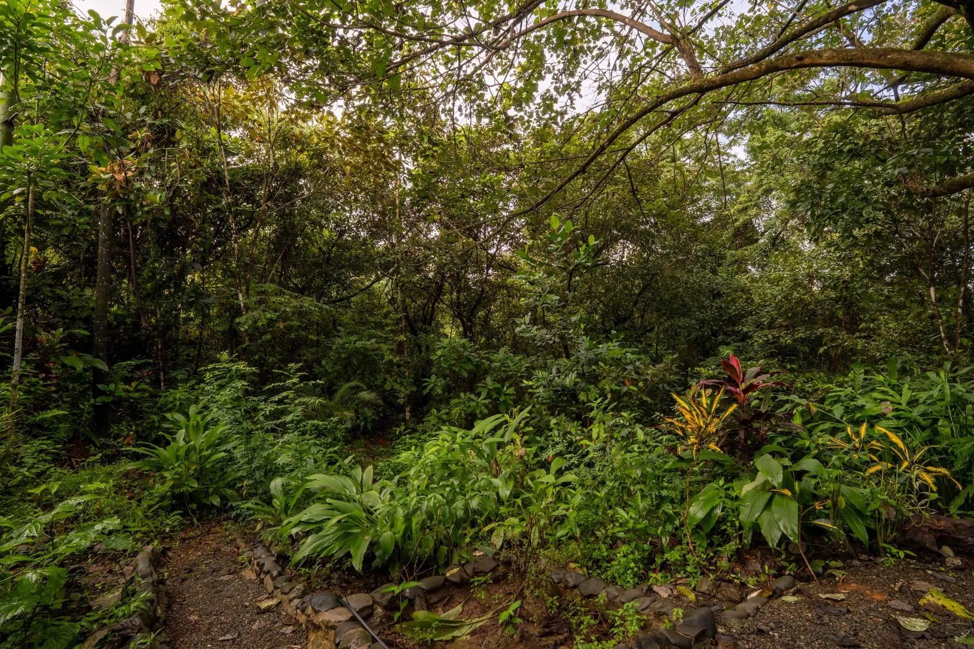 Torio Hill Mariato Veraguas Panama - Photo 144