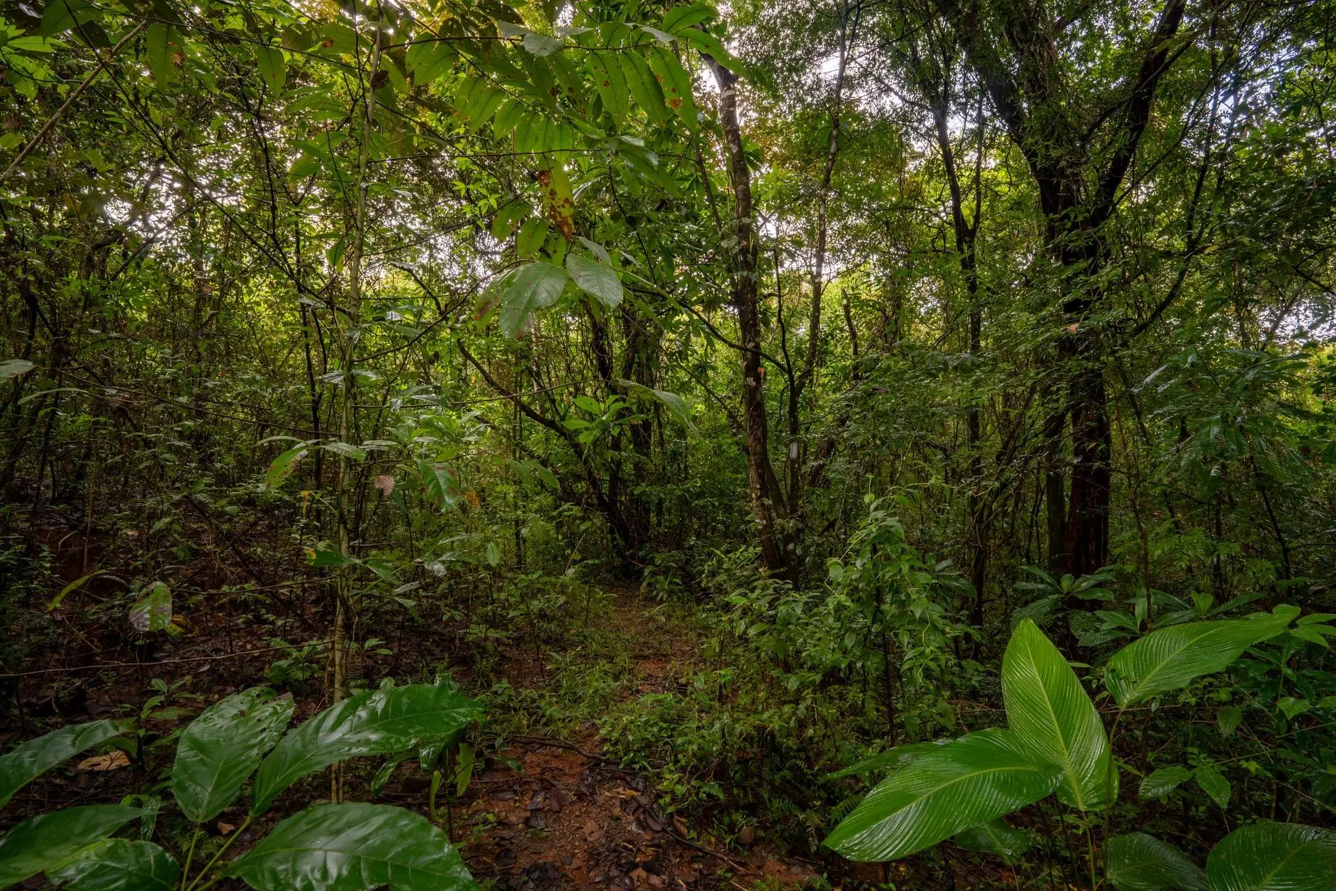 Torio Hill Mariato Veraguas Panama - Photo 147