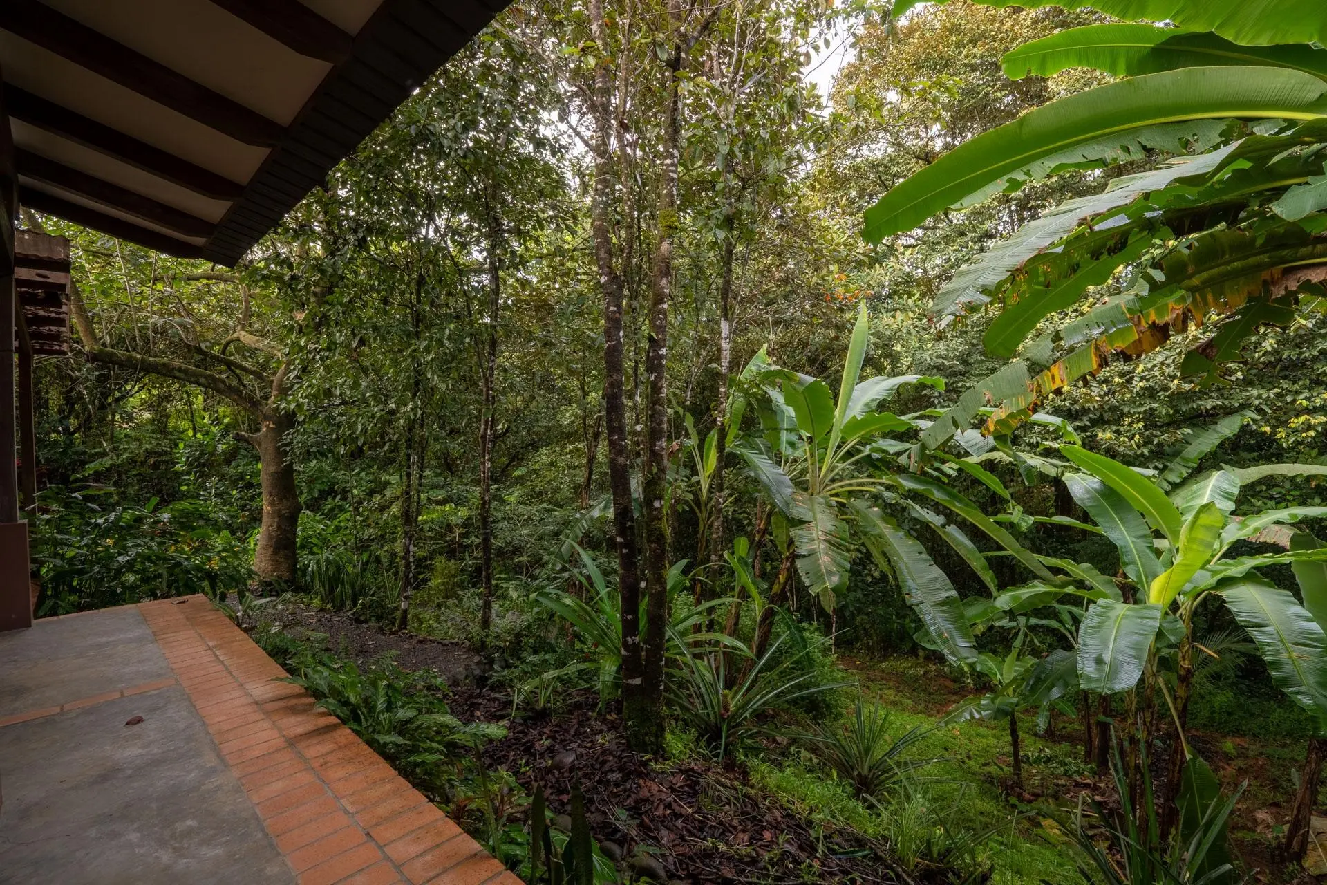 Torio Hill Mariato Veraguas Panama - Photo 169