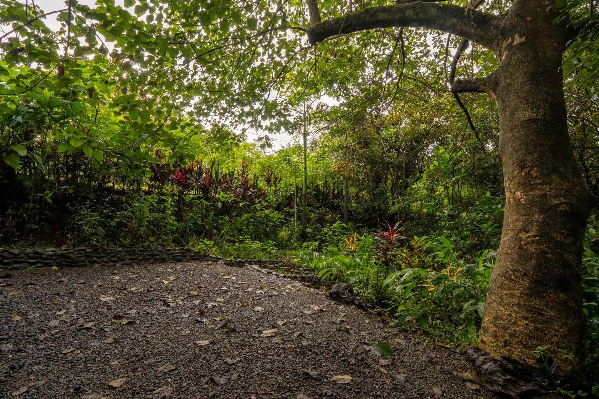 Torio Hill Mariato Veraguas Panama - Photo 150