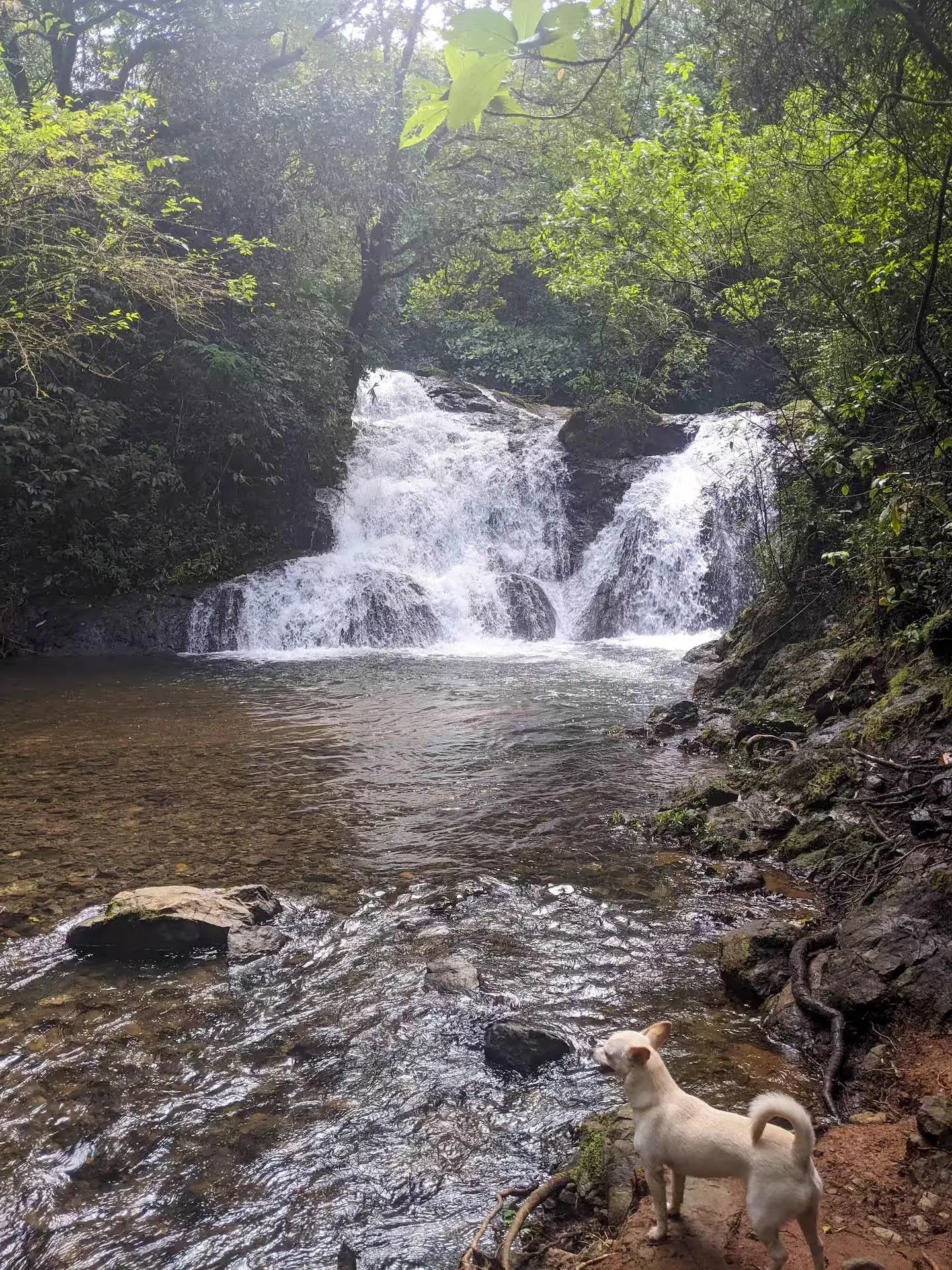 Torio Hill Mariato Veraguas Panama - Photo 152