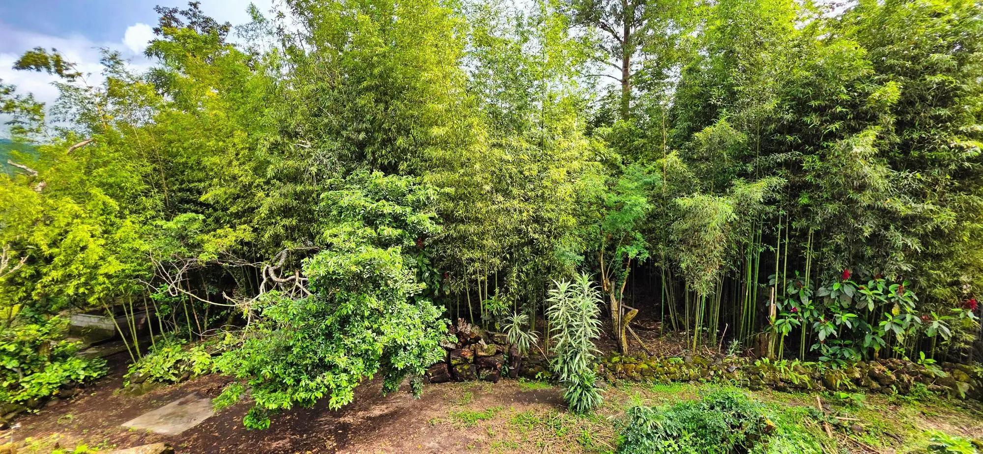 Land For Sale In Tierras Altas Nueva California - Photo 45