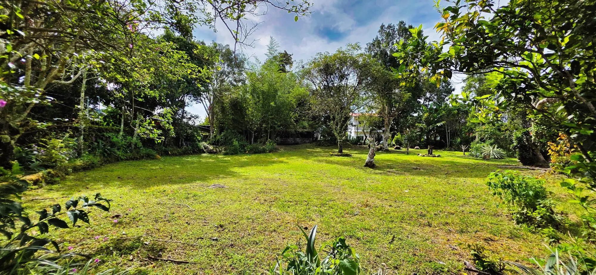 Land For Sale In Tierras Altas Nueva California - Photo 14