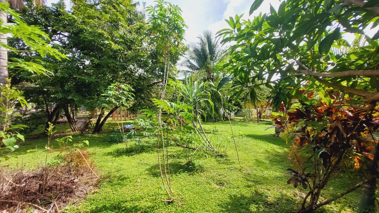 Las Lajas, Coronado - Photo 64