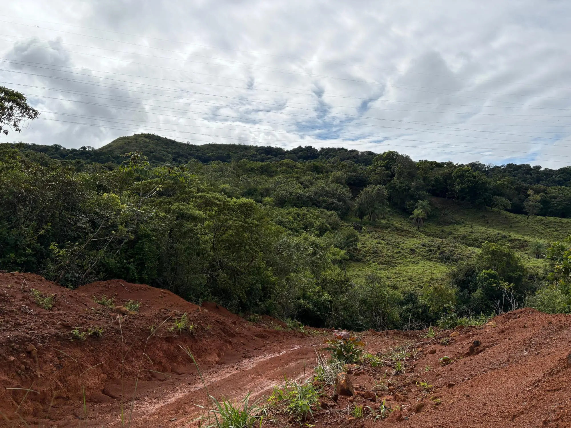 Caldera Boquete - Photo 50