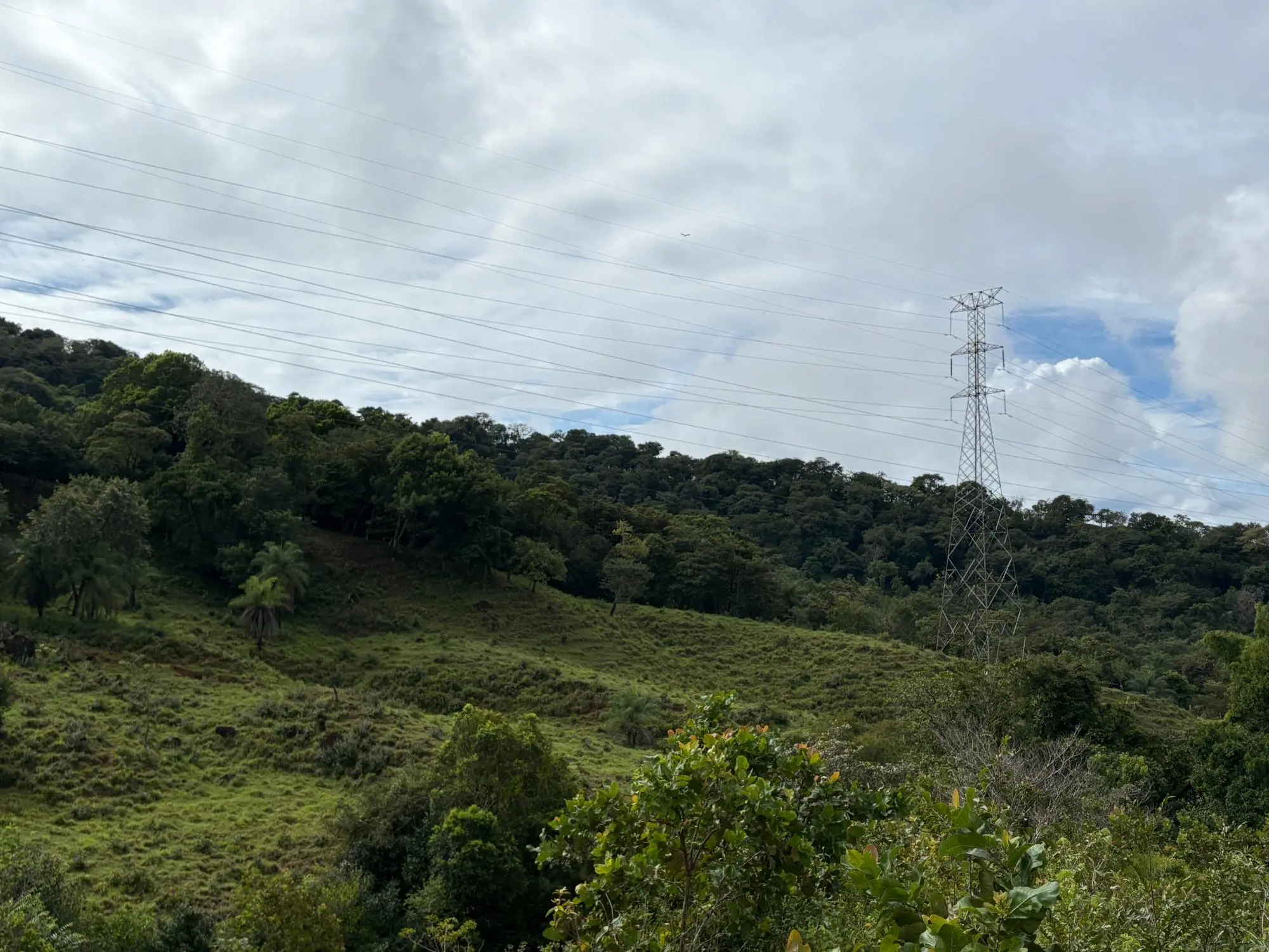 Caldera Boquete - Photo 60