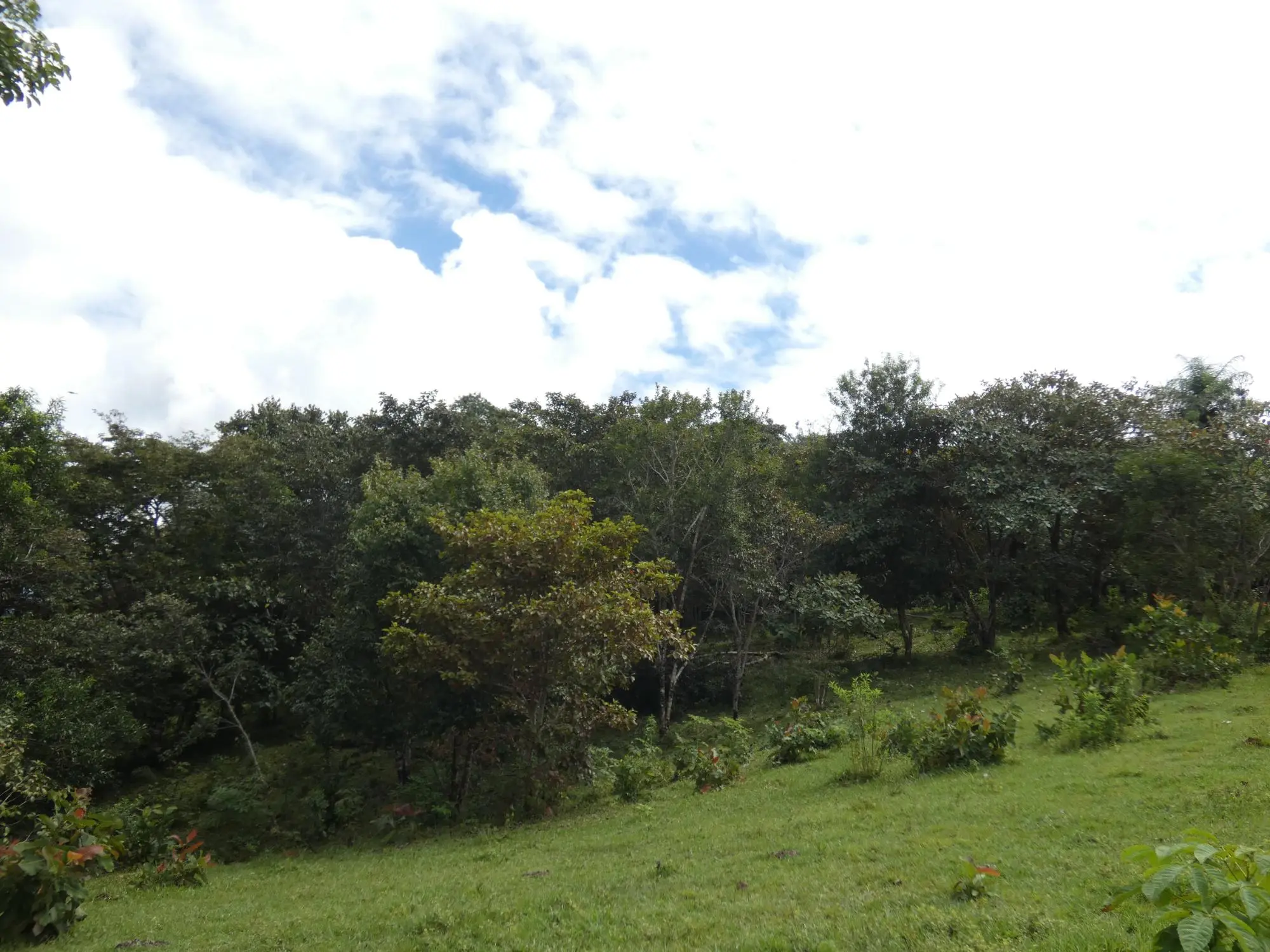 Caldera Boquete - Photo 80