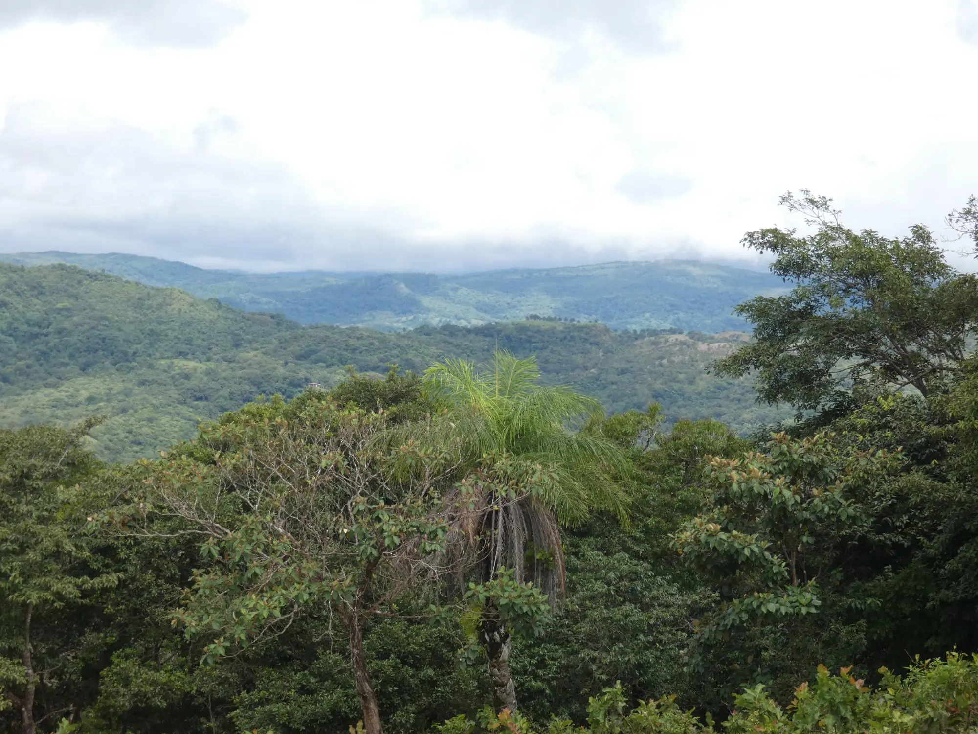 Caldera Boquete - Photo 104