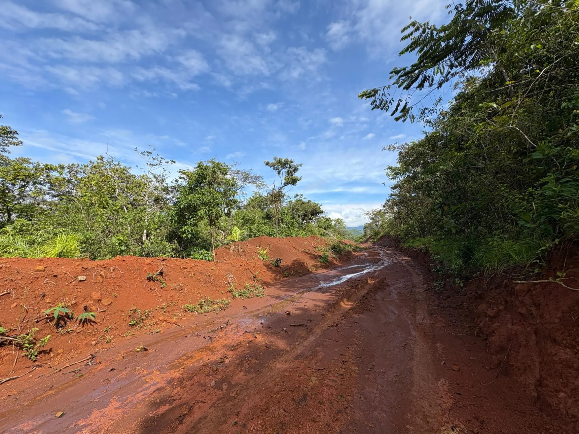 Caldera Boquete - Photo 38