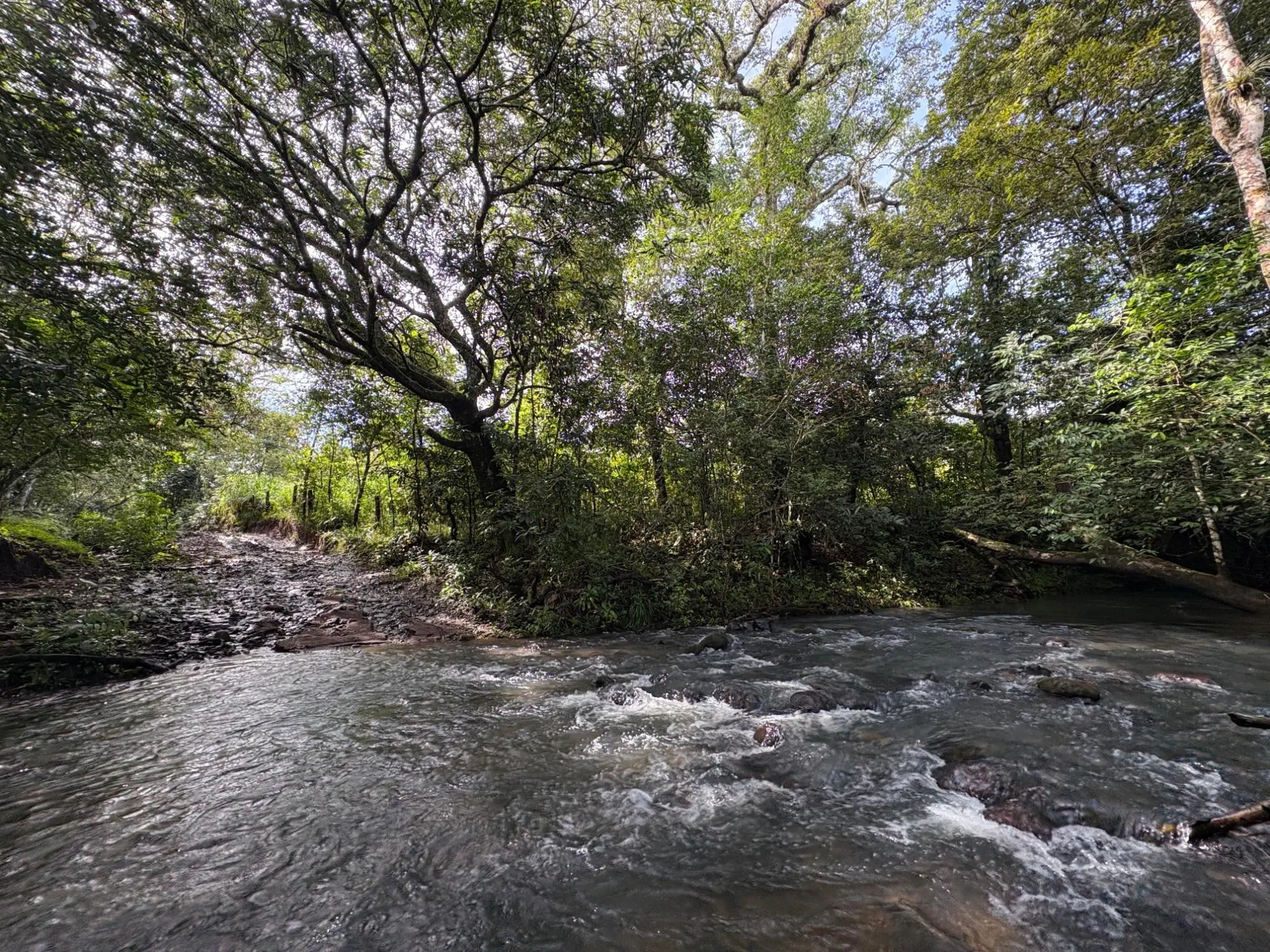Caldera Boquete - Photo 27